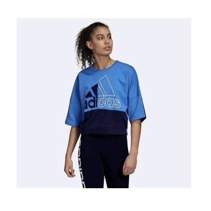 Adidas colorblock sweatshirt