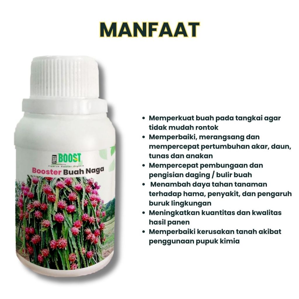 Berkahbaroka28 Pupuk Booster Buah Naga Pelebat Organik Cepat Berbuah Lebat 100Ml Murni Fermentasi