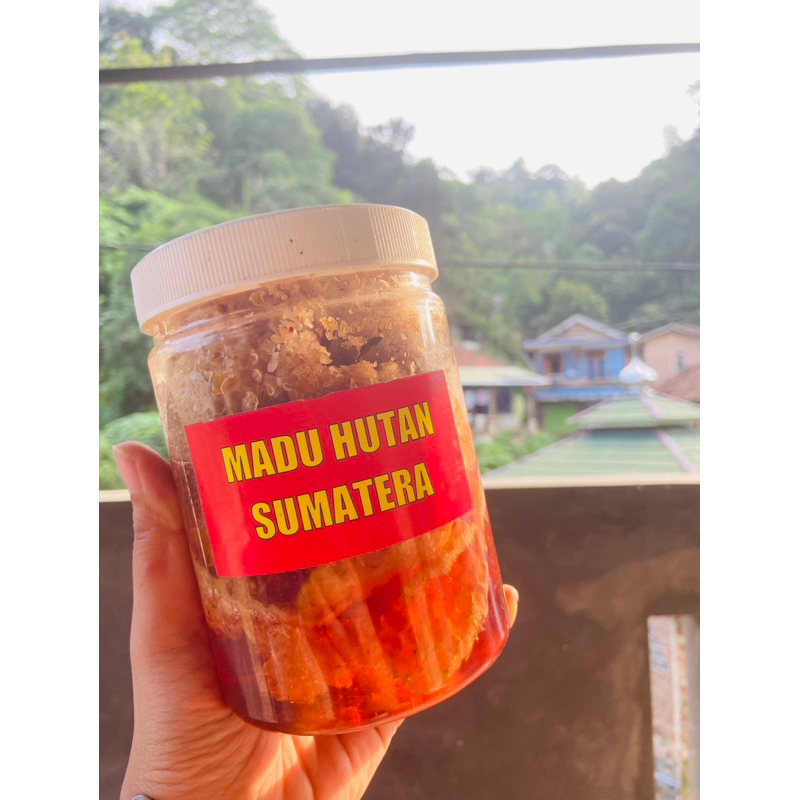 

madu hutan asli Sumatera + sarang