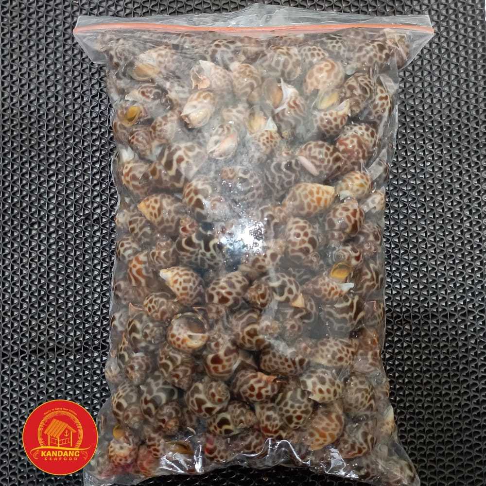 

Kerang Keong Macan Frozen 1 Kg