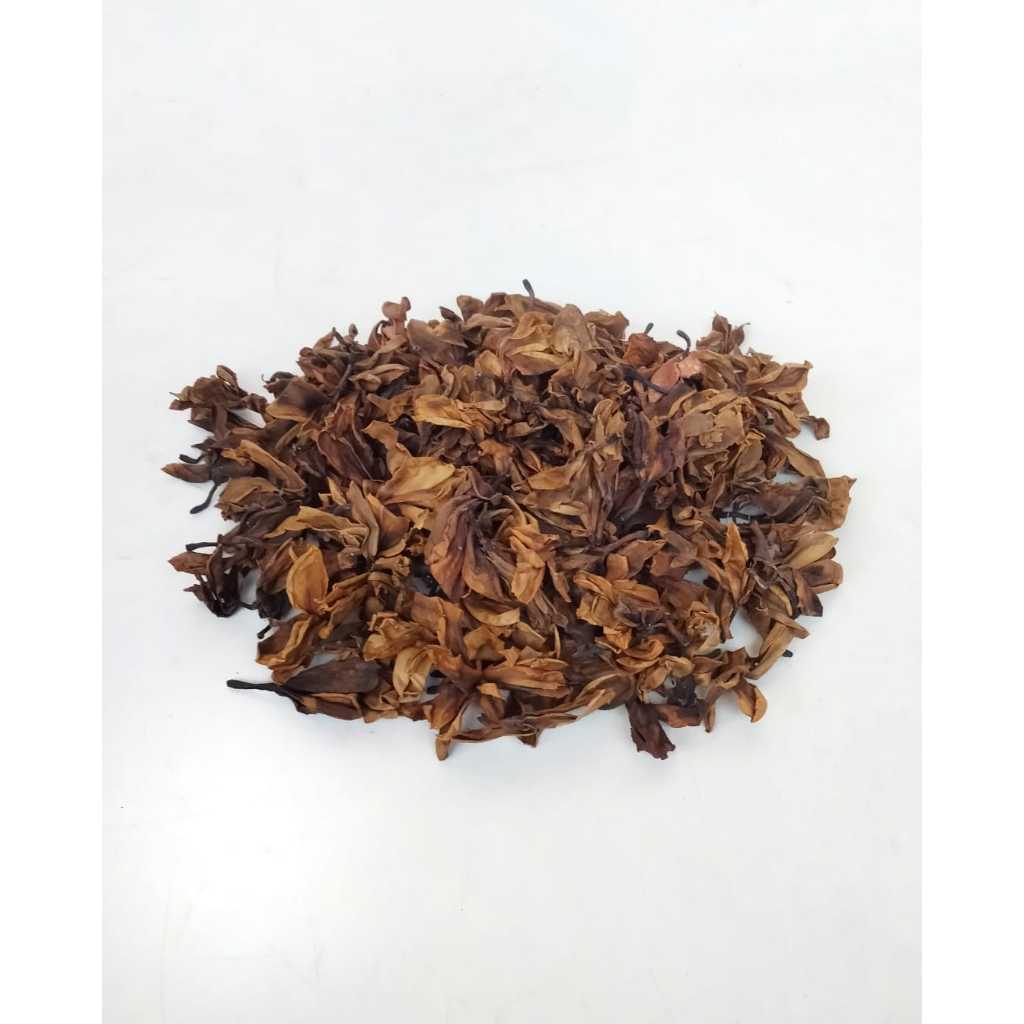 

BUNGA KAMBOJA Plumeria Kembang