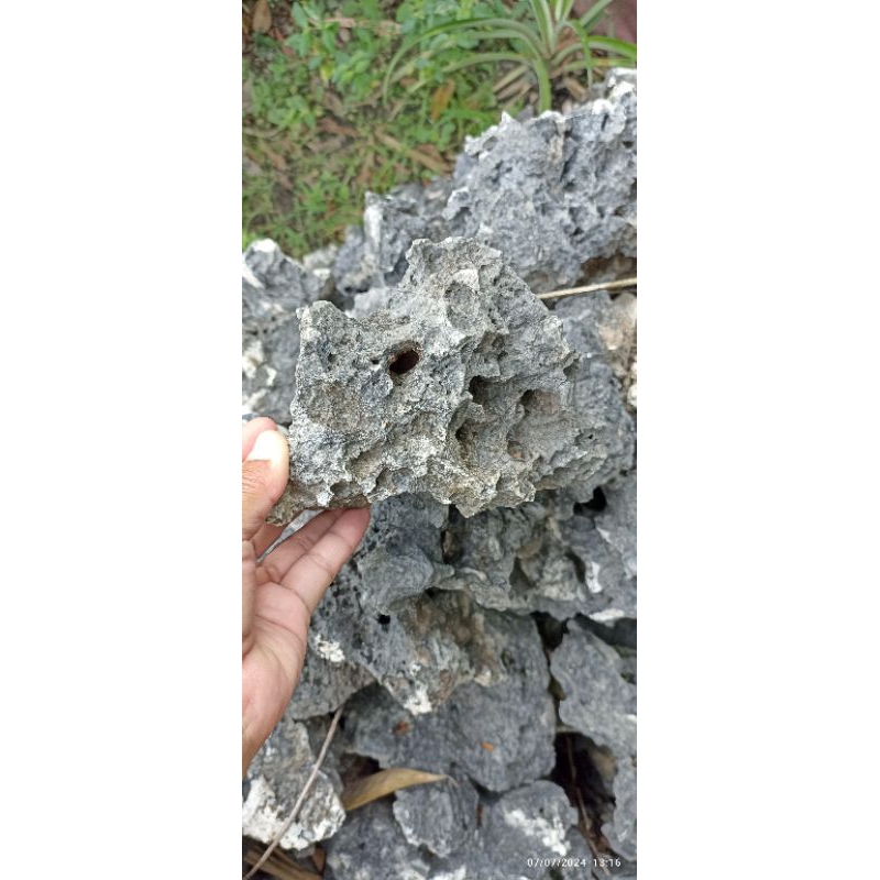batu karang gunung bolong serba guna aquascape/bonsai/penghias taman