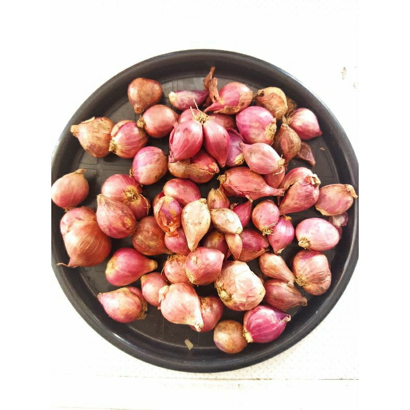 

bawang merah super