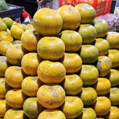 

Buah segar jeruk medan super manis 1kg