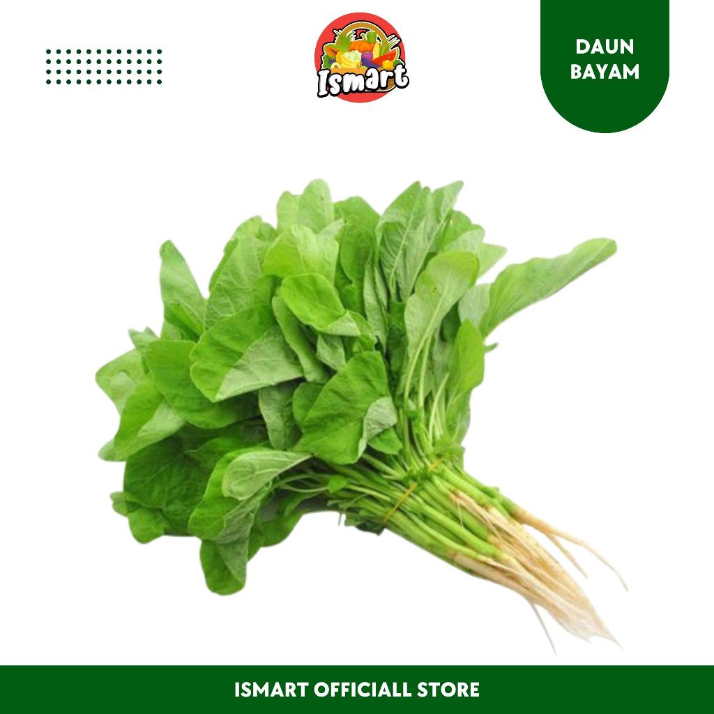 

ISMART|Daun Bayam Organik Fresh-Khusus Pengiriman Untuk JABODETABEK