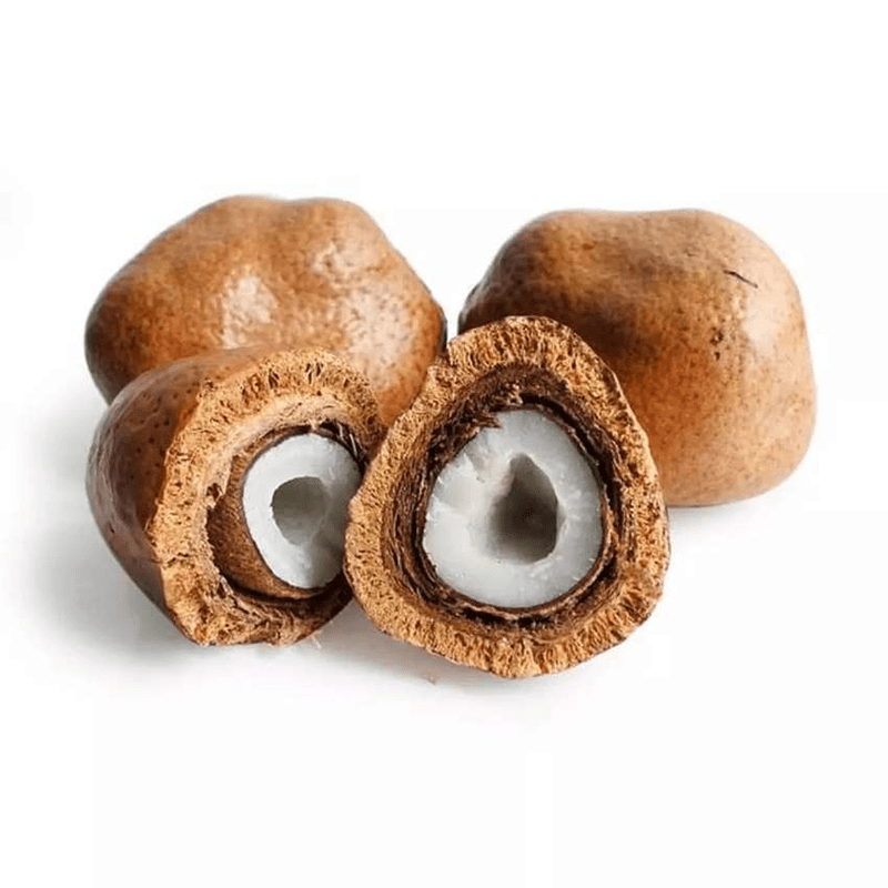 

Buah Zuriat 1 Kg Promil Doum Mesir Free Test Pack Promil Sehat