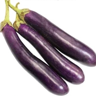 

Terung Ungu Organik (Bebas Pestisida)