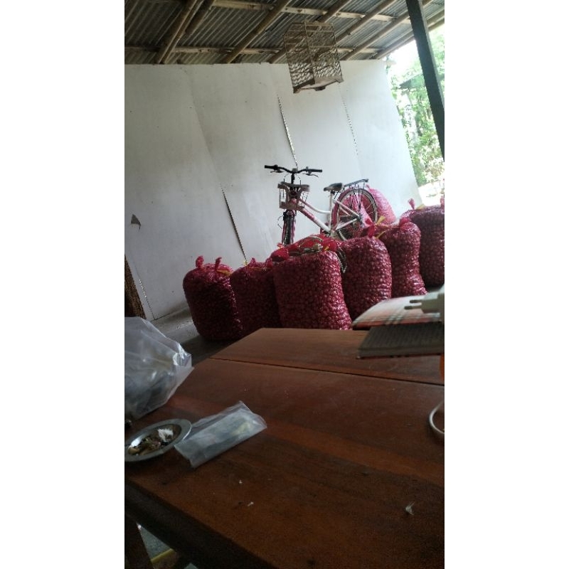 

Bawang Merah Bumbon