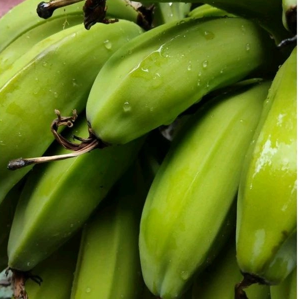 

Pisang batu atau Pisang klutuk segar 500 gram