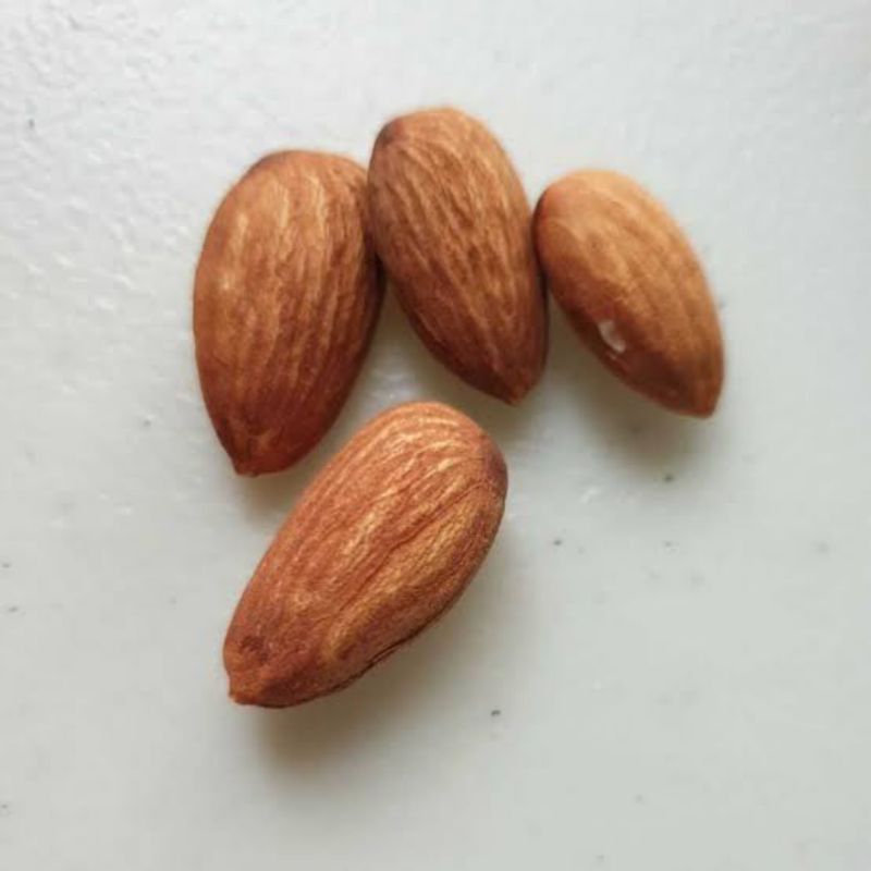 

Kacang almond Mentah 1 Kg( ukuran kecil)