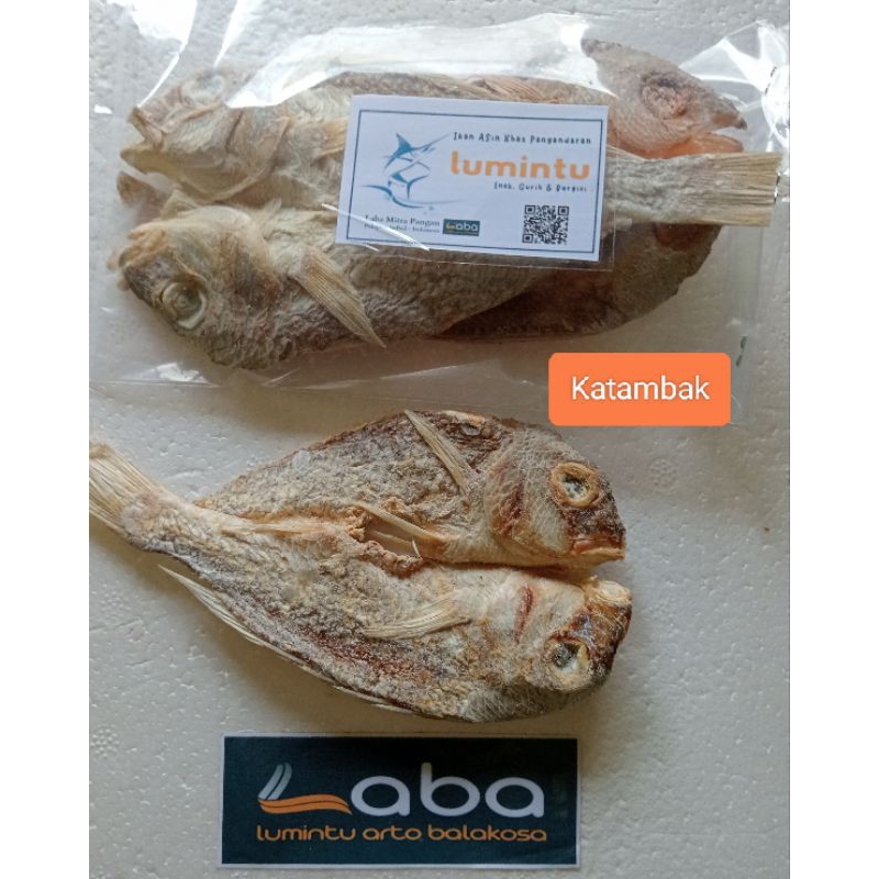 

Ikan Asin Katambak