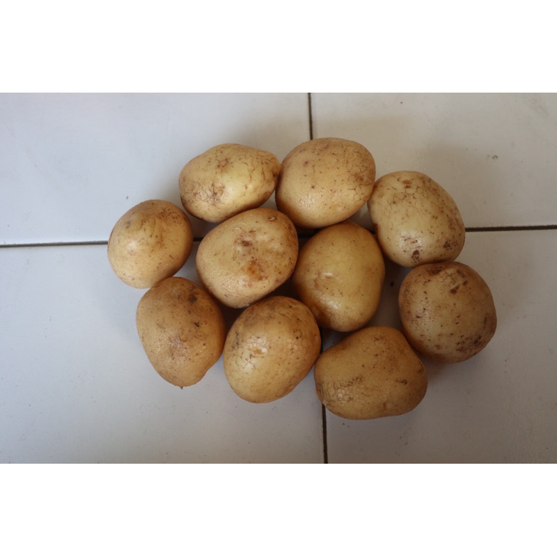 

Paket 2 kg KENTANG KECIL