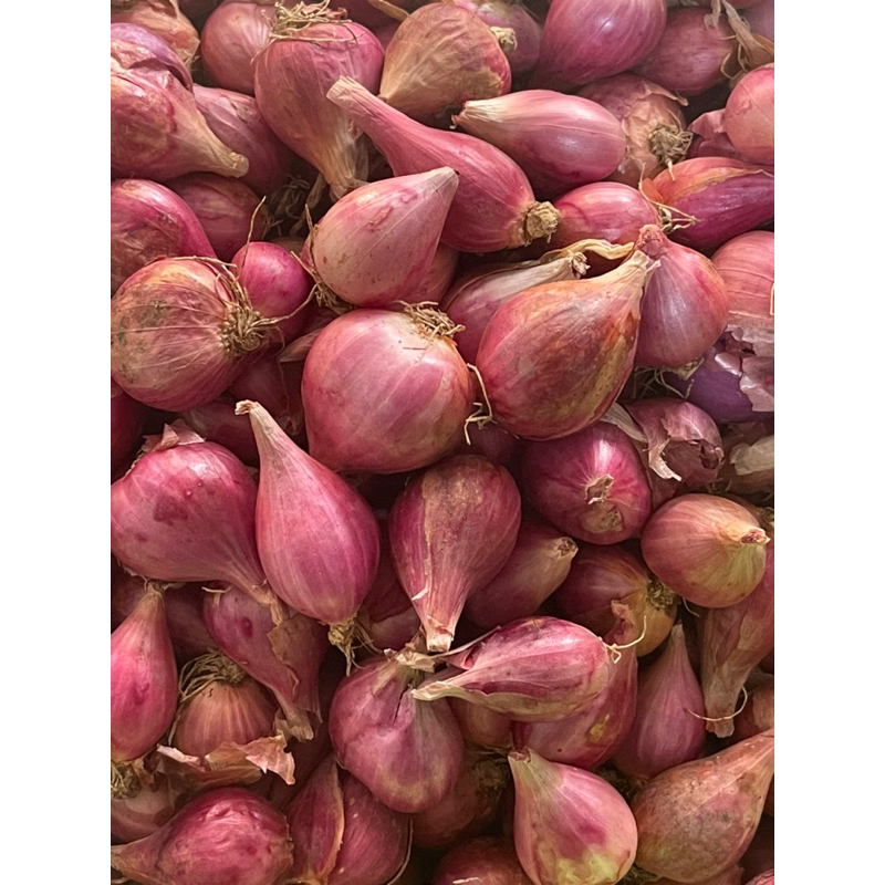 

Bawang Merah Brebes 500gr