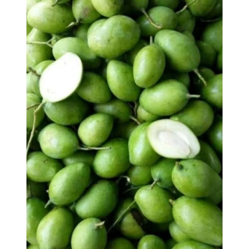 

MANGGA MENGKAL 500G / MANGGA MENGKAL / MANGO / FRUIT / JAMIN SEGAR