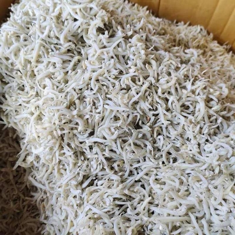 

Teri Medan teri nasi