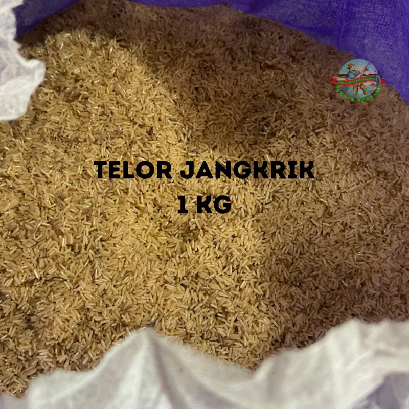 Umpan TJ 1 kg Telor Jangkrik Pengganti Keroto Kroto