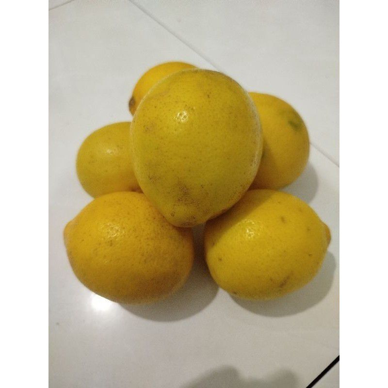 

jeruk lemon calipornia 1kg