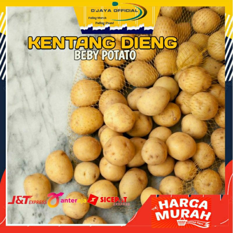 

Kentang Dieng Baby Potatto Kentang Rendang Kecil Fresh 1 kg