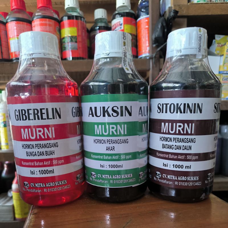 Giberlin Sitokinin Auksin kemasan 1 liter hormon