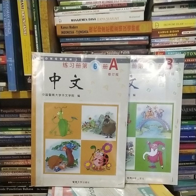 zhongwen 6 A dan B
