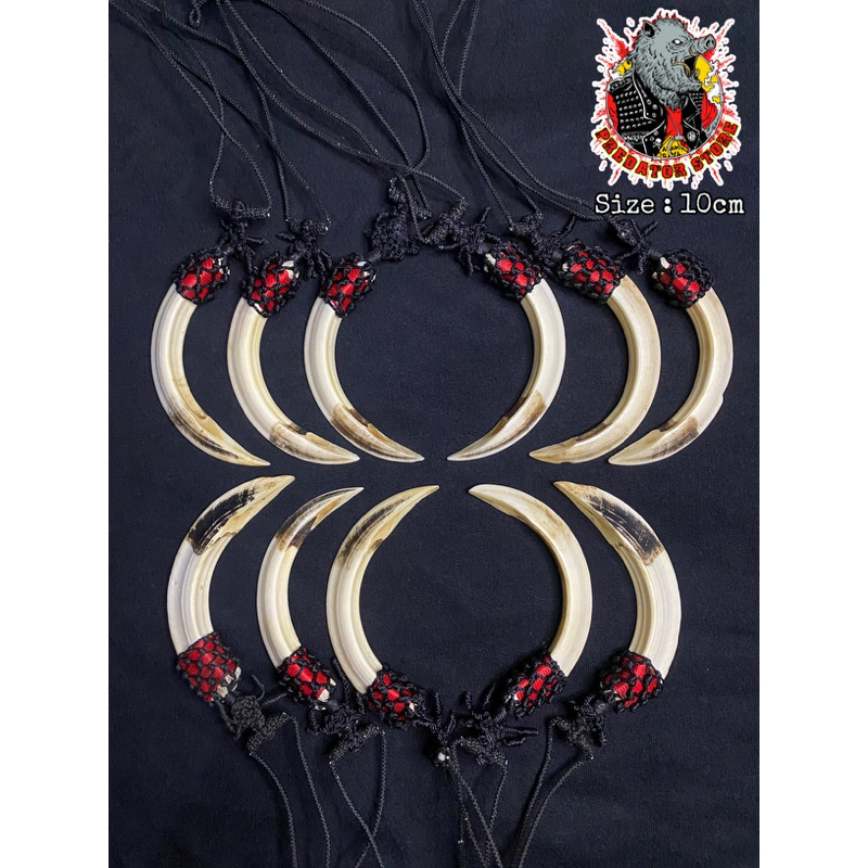 KALUNG ETNIK TARING BABI ORIGINAL 10cm