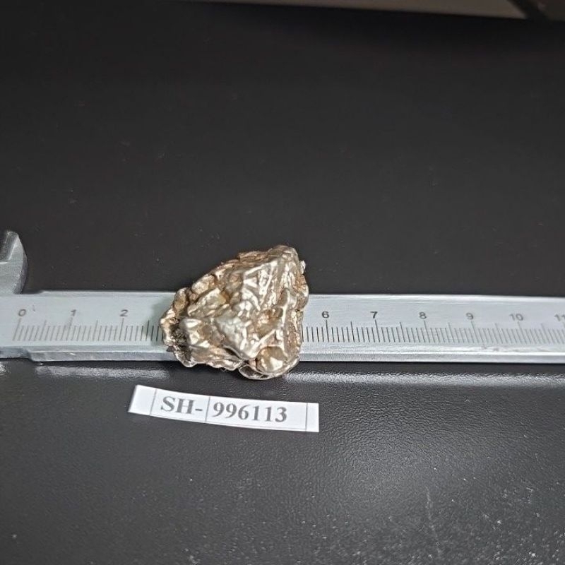 Campo del Vielo Iron Meteorite Asli Gran Chaco Gualamba Argentina