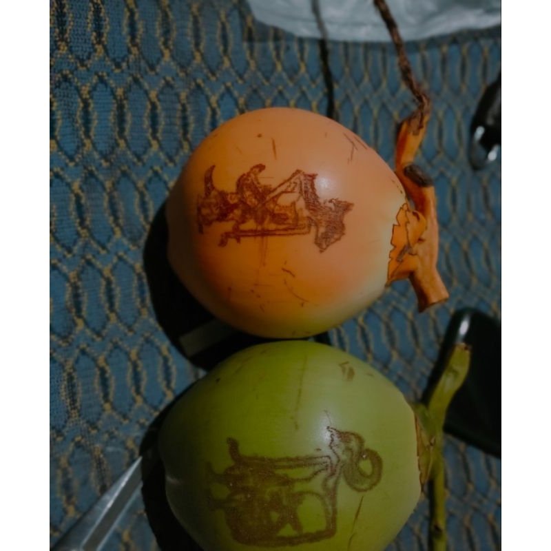 

kelapa gading lukissan wayang