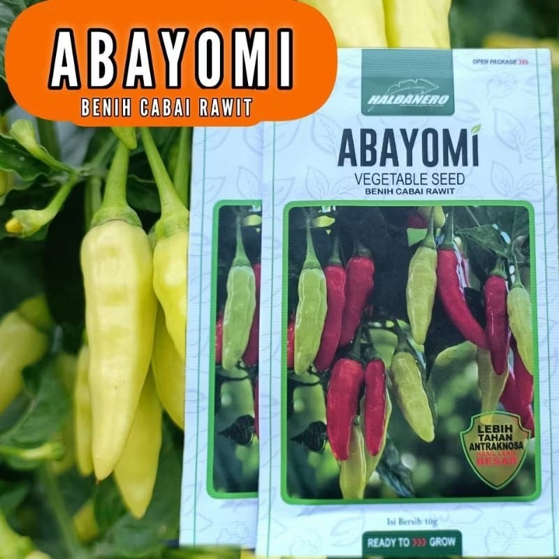 Benih Cabai Rawit ABAYOMI - 10 Gram