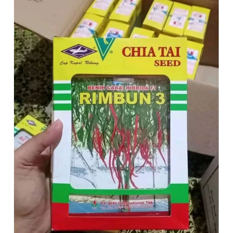 bibit cabai keriting rimbun3
