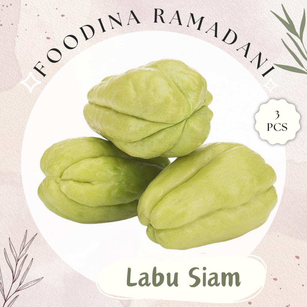 

LABU SIAM Besar - Chayote Fresh [ Isi 3 Pcs ] Harga Per BKS