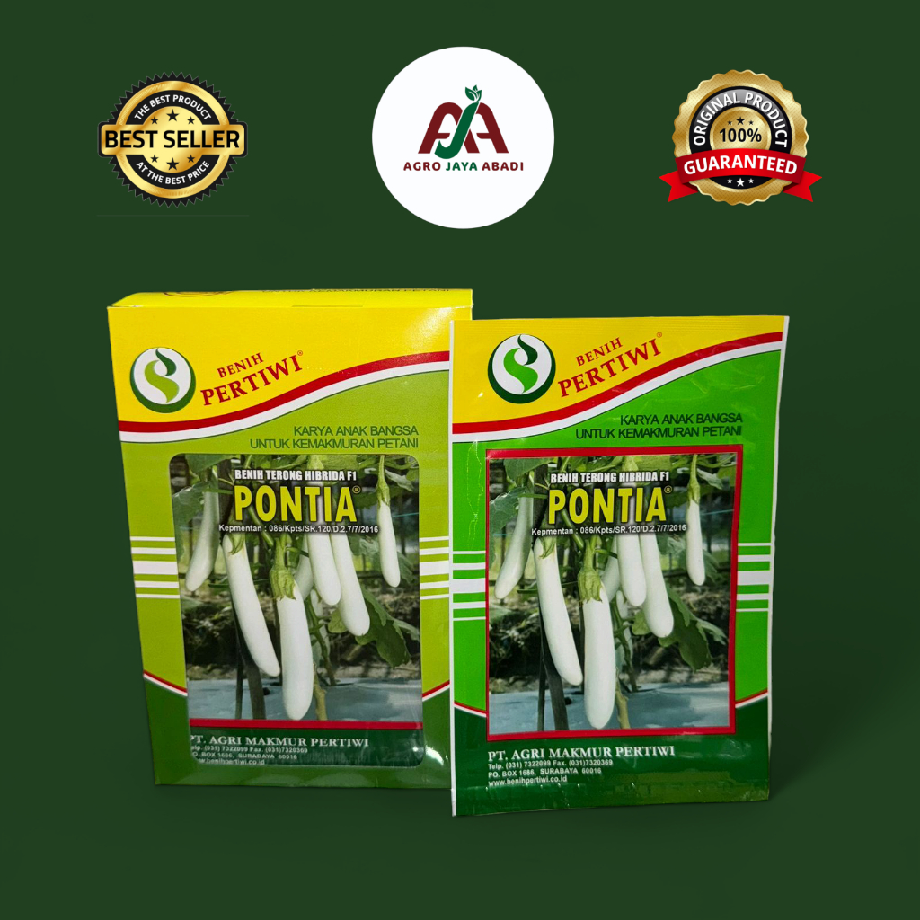 BENIH BIBIT TERONG PUTIH PONTIA F1 ISI 5 GR CAP BENIH PERTIWI