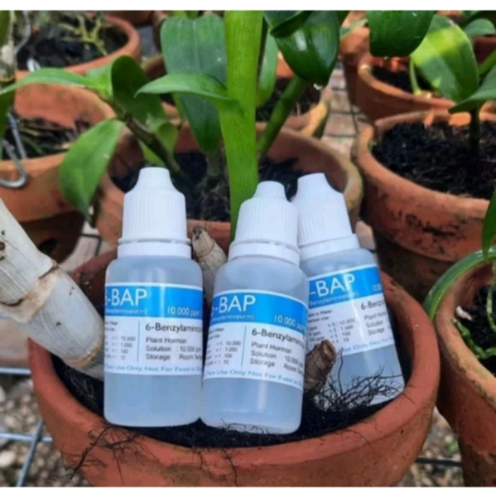 BAP biru anggrek 30ml penumbuh tunas/bunga anggrek