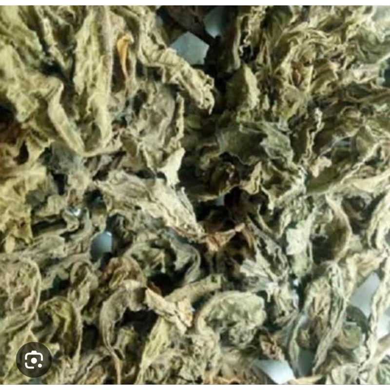 

Tapak Liman Kering 500 Gram Obat Herbal Tradisional Termurah