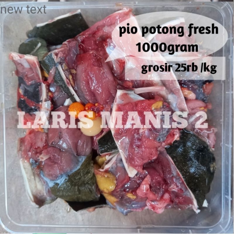 daging pio labi labi bulus 1000gram