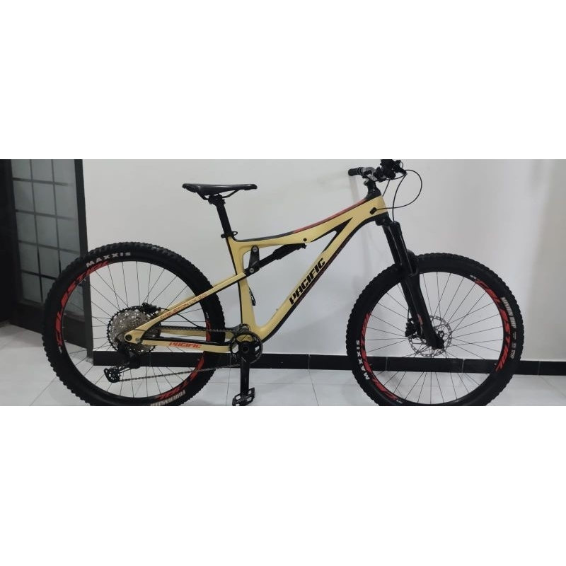 pacific skeleton LX.2.0