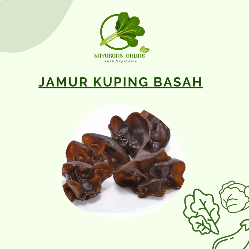 

jamur kuping basah