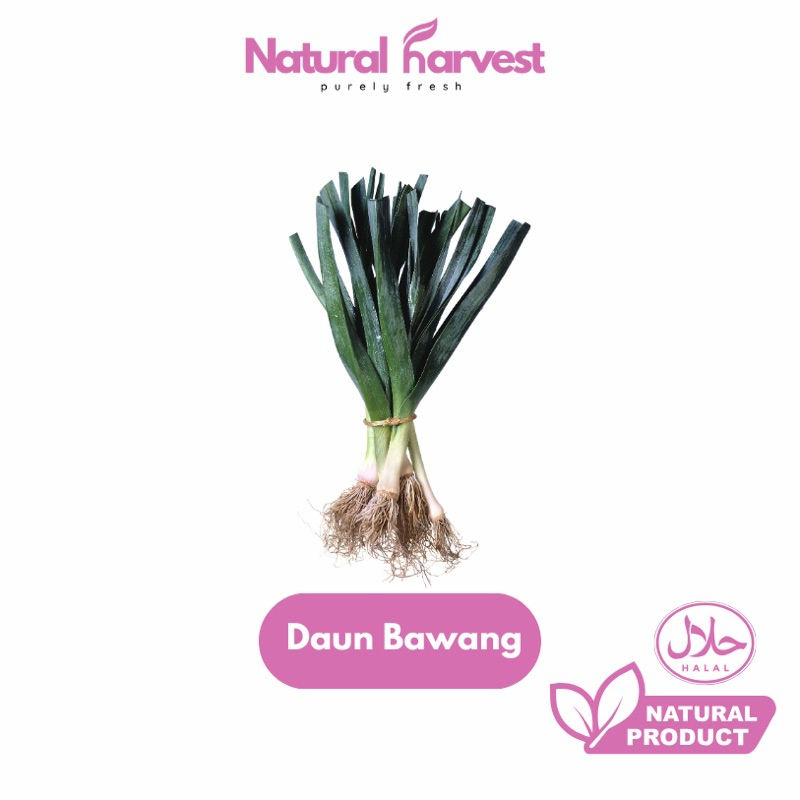 

Daun Bawang Fresh 250gr | NaturalHarvest!