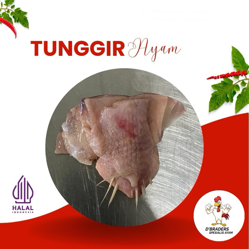 

Tunggir Ayam