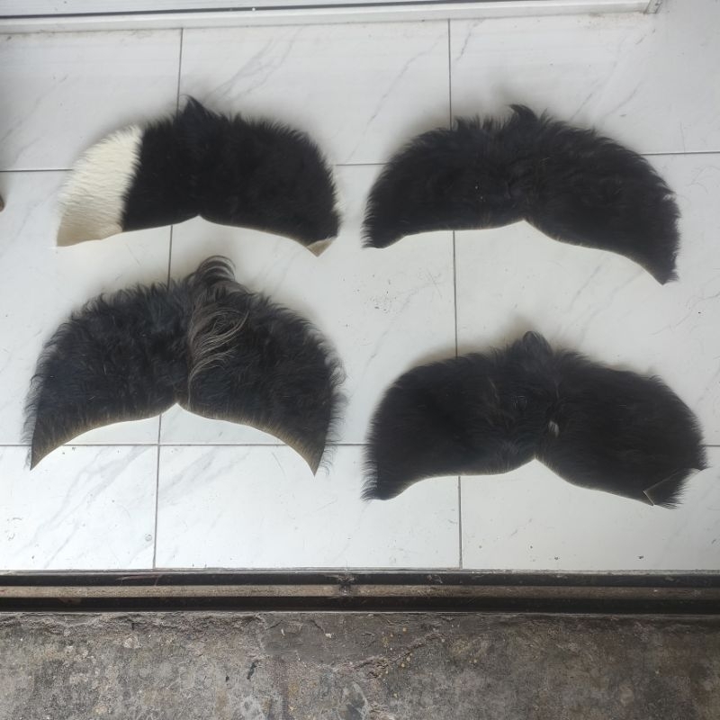 simbar hitam simbar barongan bukan uyahan