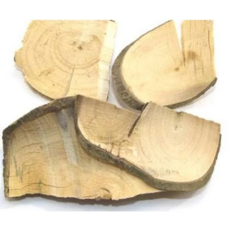 

300 G GR GRAM 毛冬青 MAO DONG QING RADIX ILICIS PUBESCENTIS ILEX ROOT