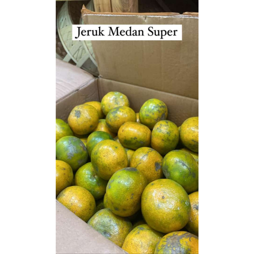 

Jeruk Medan Super