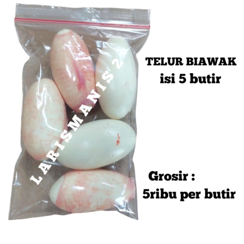 

telur biawak 5 butir