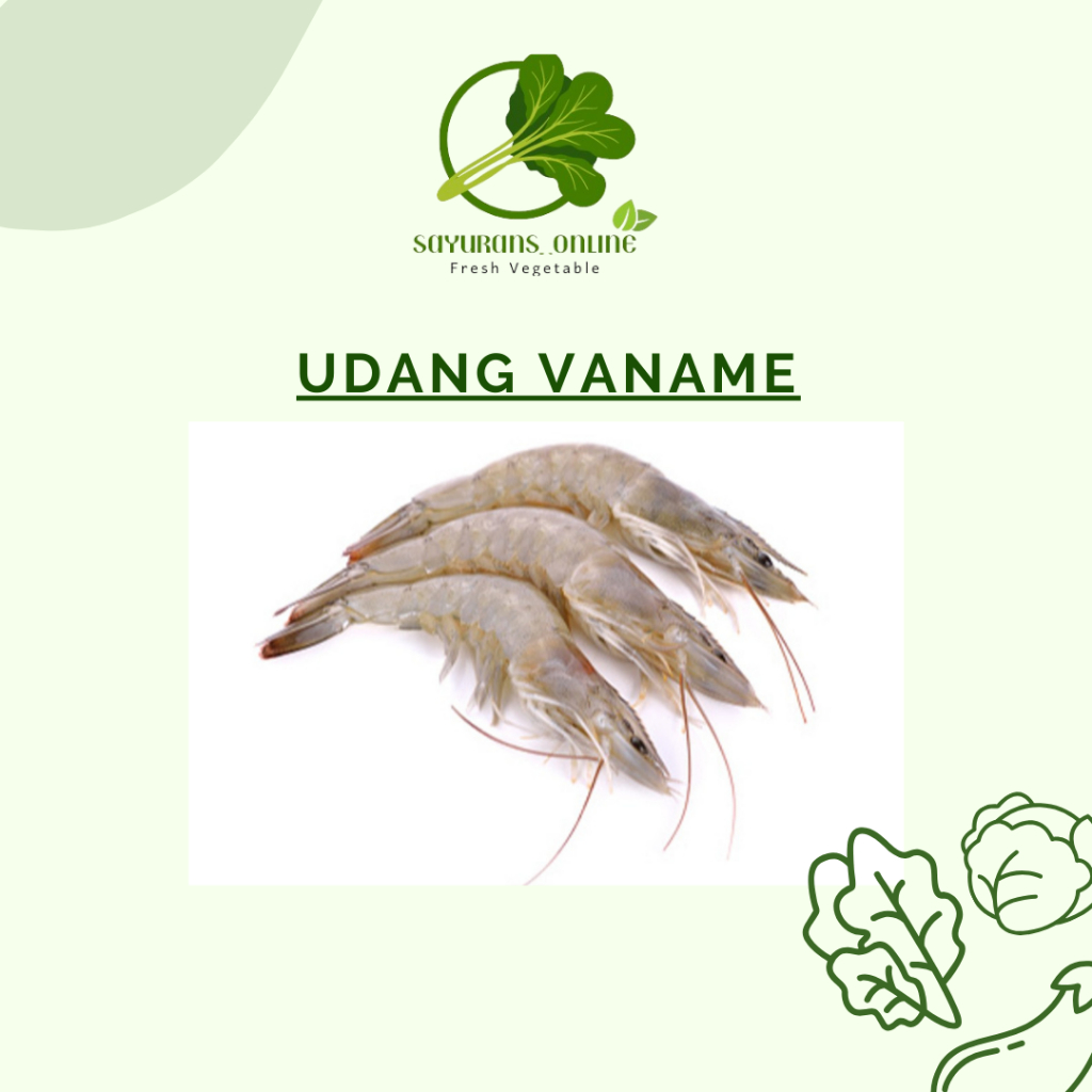 

udang vaname