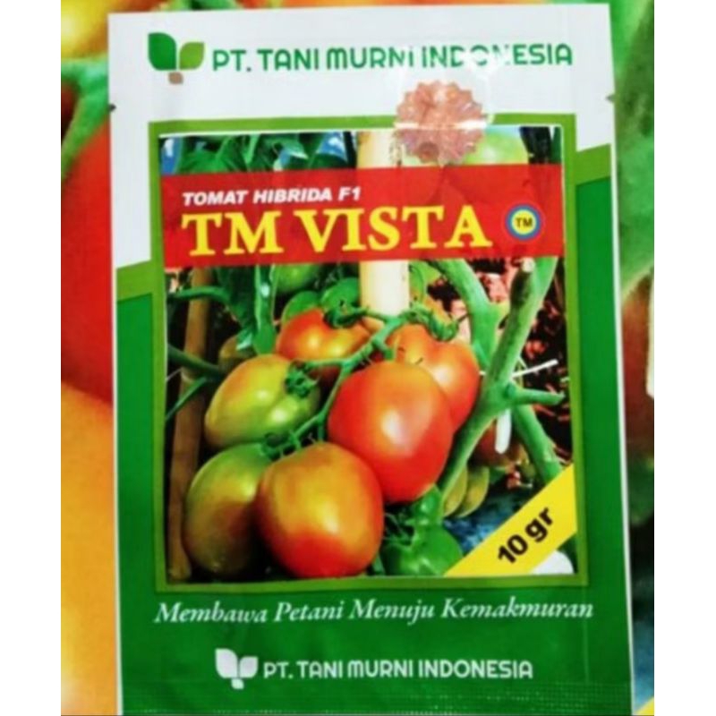 bibit tomat hibrida tm vista 10 gram
