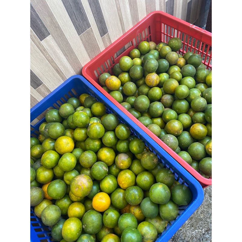 

JERUK PERAS BUAH KEMASAN 1KG