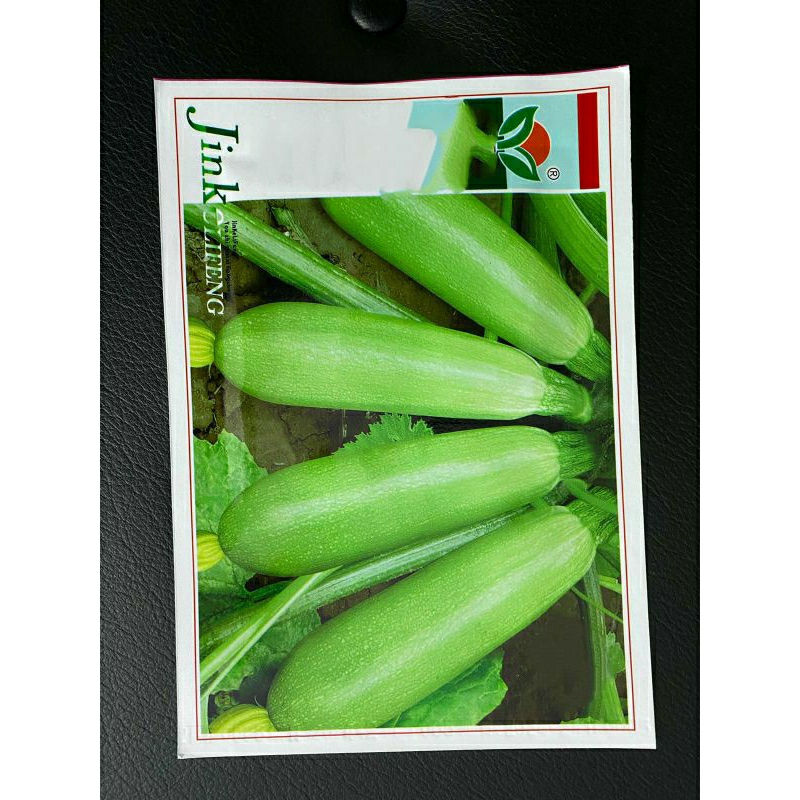 benih zucchini hijau & kuning