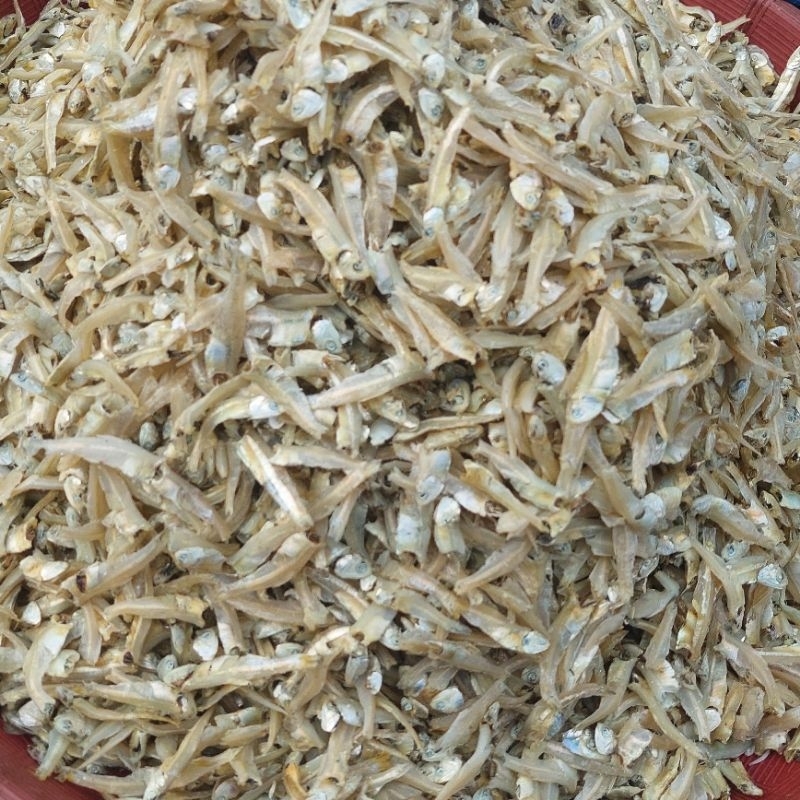 

TERI PEKTO MEDAN