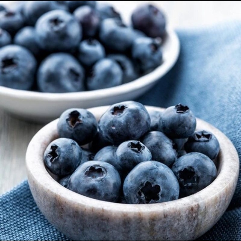 IQF Frozen Blueberries Blueberry Buah Beku