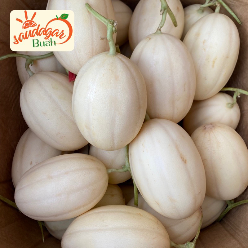 

RB BUAH MELON SWEET NET HIDROPONIK MANIS CRUNCHY