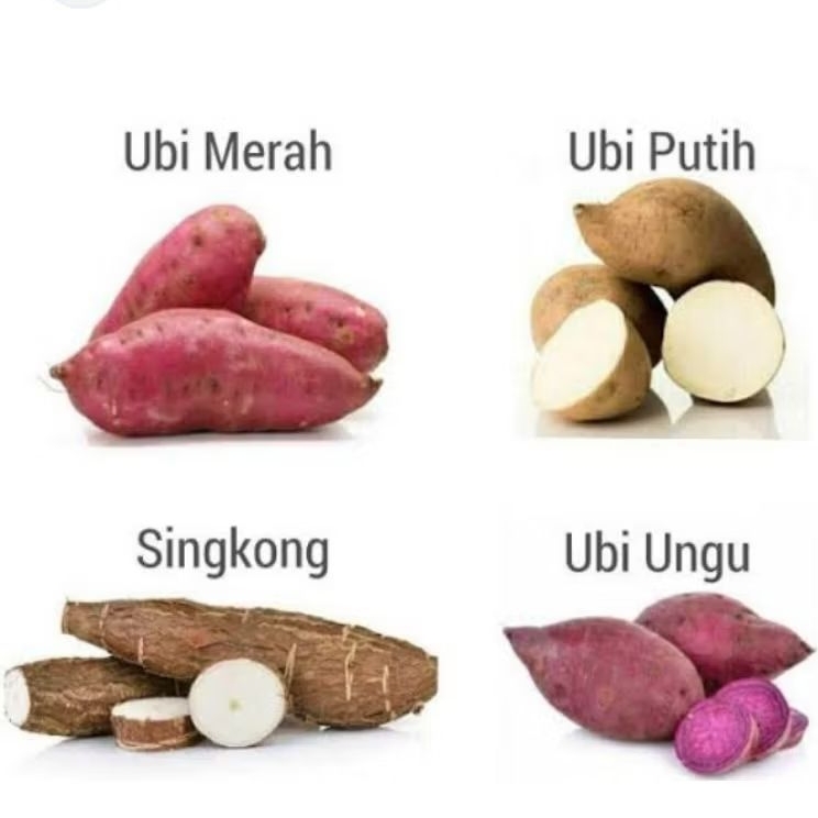 

Singkong, ubi merah, ubi ungu, ubi putih